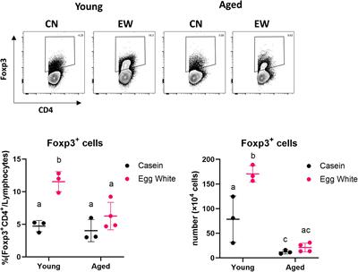 Age-Dependent Decrease in the Induction of Regulatory T Cells Is Associated With Decreased Expression of RALDH2 in Mesenteric Lymph Node Dendritic Cells